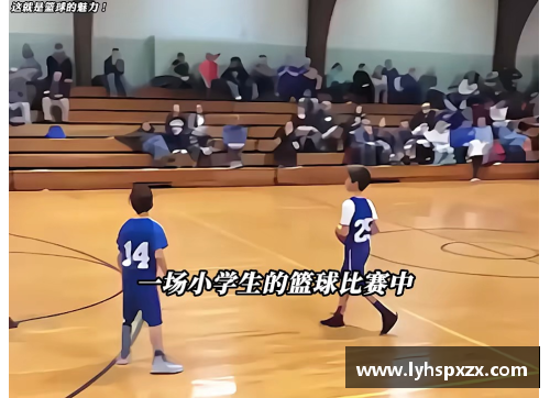 篮球场上的魅力：全球十大女篮球明星盛况